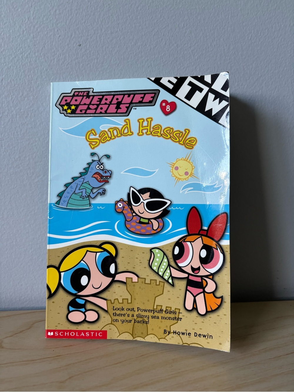 Scholastic The Powerpuff Girls “Sand Hassle” Book 📕